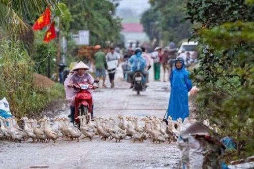 'Rốn lũ' Hòa Thịnh: Phòng tránh thiên tai cần kế hoạch bài bản, dài hơi