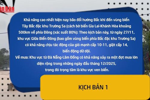Hai kịch bản bão số 15