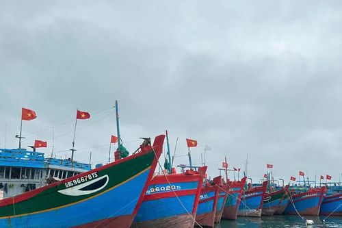 Quảng Ngãi khẩn trương ứng phó bão số 15