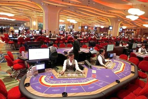 Cho phép người Việt Nam đủ điều kiện chơi tại casino Phú Quốc, Hồ Tràm, Vân Đồn