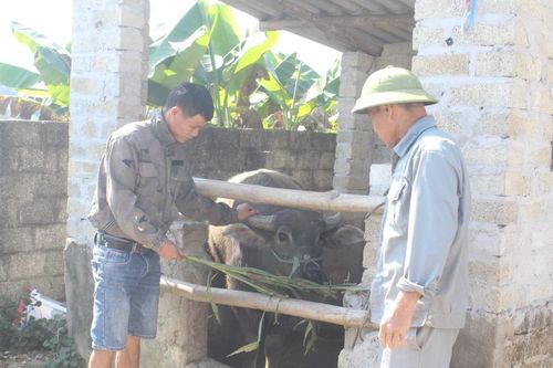 Lan tỏa hiệu quả các mô hình giảm nghèo bền vững