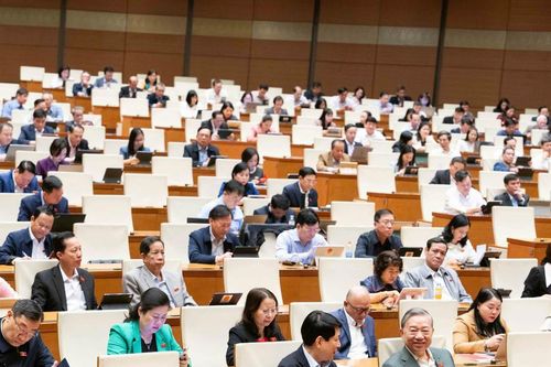 Cần có quy định định mức dự trữ chiến lược cho các mặt hàng thiết yếu