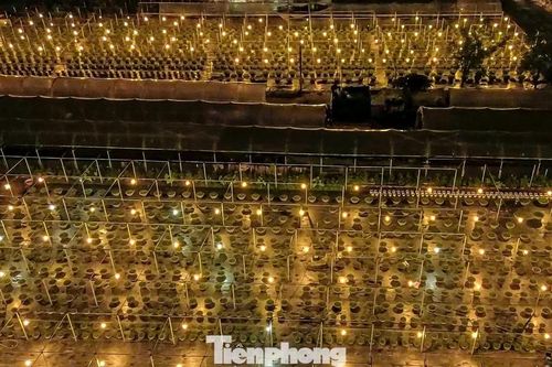 Nông dân Đà Nẵng chong đèn xuyên đêm chăm vụ hoa Tết