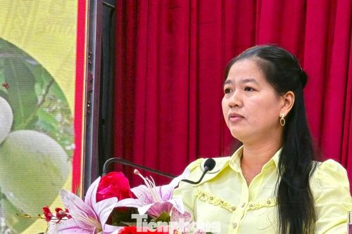 Nông dân trăn trở điệp khúc 'được mùa mất giá, được giá mất mùa'