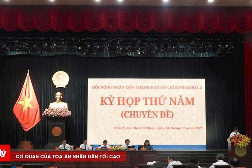 HĐND TPHCM sẽ chất vấn Sở An toàn thực phẩm và Sở Xây dựng tại kỳ họp HĐND sắp tới