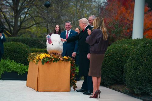Ông Trump bất ngờ nhắc đến cha con cựu Tổng thống Mỹ Biden