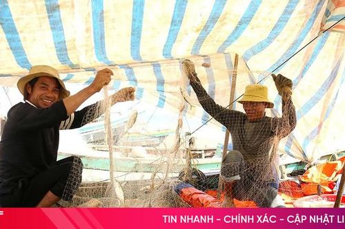 Hà Tĩnh phấn đấu tăng trưởng GRDP nông, lâm, thủy sản năm 2026 đạt trên 3%