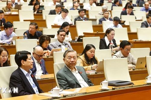Kỳ họp thứ 10: Quốc hội biểu quyết thông qua 4 luật về tư pháp