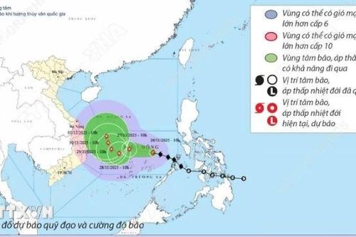 Đường đi của bão số 15 năm 2025: Dự báo từ 10h ngày 26/11 đến 10h ngày 1/12
