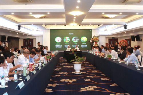 TP Hồ Chí Minh phát triển nông nghiệp đô thị tương lai trong lòng thành phố