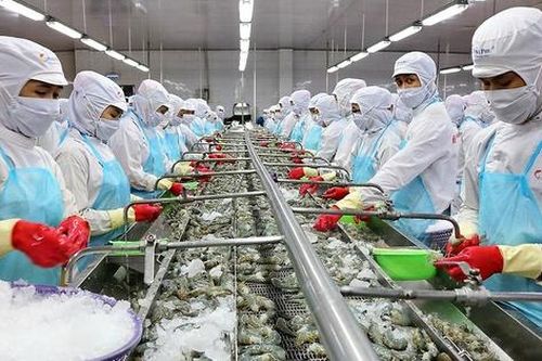 Cổ phiếu thủy sản hút dòng tiền: Chỉ số nào báo hiệu sóng tăng?