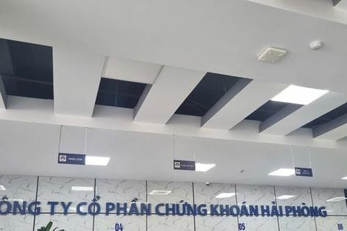Chứng khoán Hải Phòng làm ăn ra sao sau tham vọng tái cơ cấu?