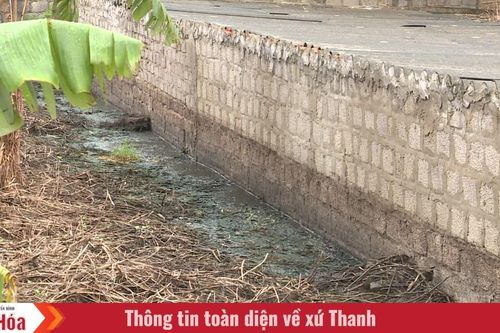 Ô nhiễm môi trường từ trang trại chăn nuôi, dân hứng chịu đến bao giờ?
