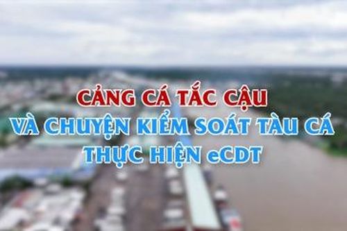 Cảng cá Tắc Cậu và chuyện kiểm soát tàu cá thực hiện eCDT