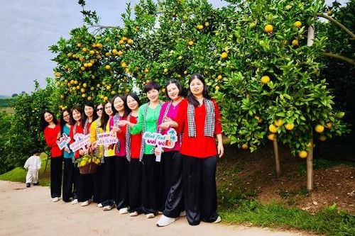 Bắc Ninh: Mùa trái ngọt hút khách muôn phương
