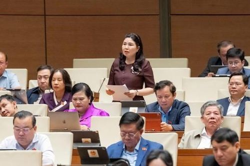 Xây dựng cơ chế hỗ trợ doanh nghiệp ứng phó với phòng vệ thương mại là cần thiết và cấp bách