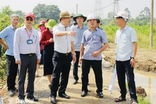 Hoàn thành bàn giao mặt bằng 100% tại Dự án Đường trục trung tâm phường Trấn Biên