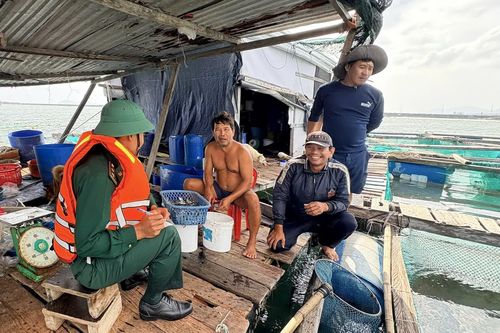 Quyết liệt ứng phó bão số 15
