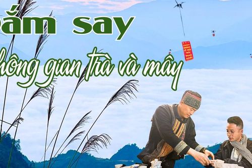 Đắm say không gian trà và mây