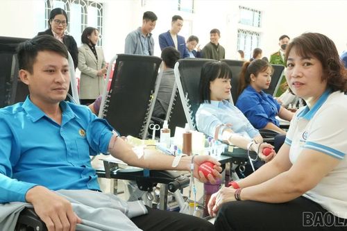 Trấn Yên thu được 471 đơn vị máu trong Ngày hội hiến máu tình nguyện