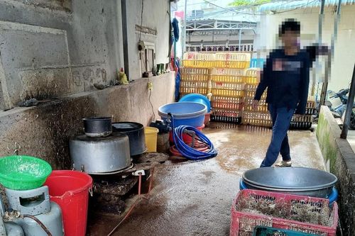 Bức xúc với cơ sở giết mổ gia cầm trong khu dân cư