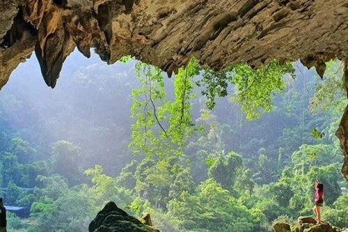 8 Vườn quốc gia Việt Nam: Gợi ý cho người yêu thiên nhiên