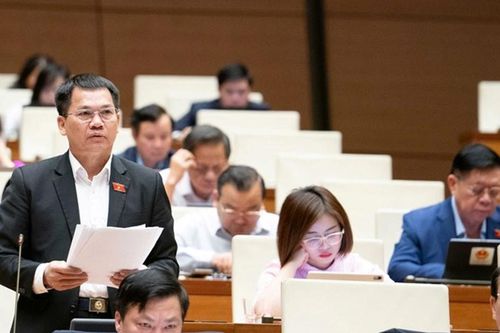 ĐBQH Lâm Đồng cho ý kiến về cơ chế tăng hiệu quả hội nhập quốc tế