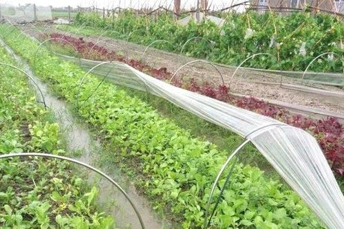 'Cánh đồng tri thức' ở Nội Bài