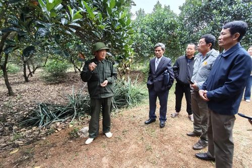 Nâng cao kỹ thuật thâm canh cây ăn quả gắn với kinh tế tuần hoàn