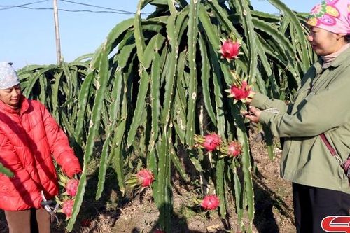 Đổi mới công tác dân tộc, tôn giáo