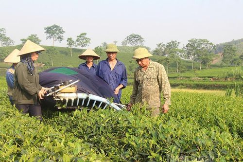 Nhữ Khê chuyển mình