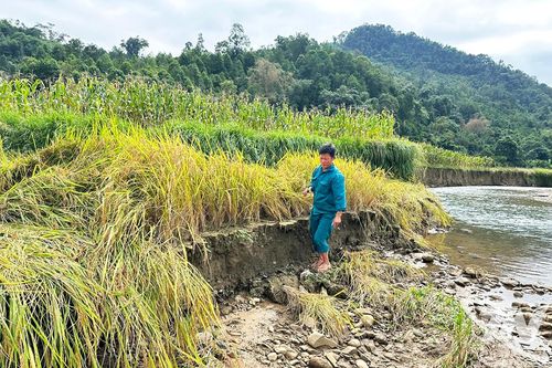 Người dân mong xây kè chống sạt lở