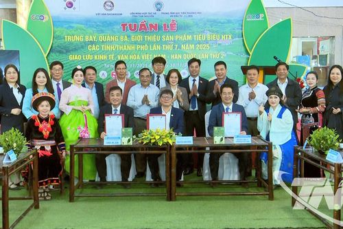 Thái Nguyên kết nối cung cầu sản phẩm hợp tác xã và giao lưu kinh tế Việt Nam – Hàn Quốc