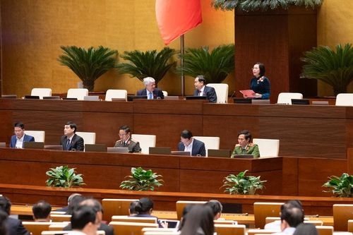 Dự thảo Luật Phòng, chống ma túy (sửa đổi): Hoàn thiện quy định về trách nhiệm quản lý nhà nước trong phòng, chống ma túy