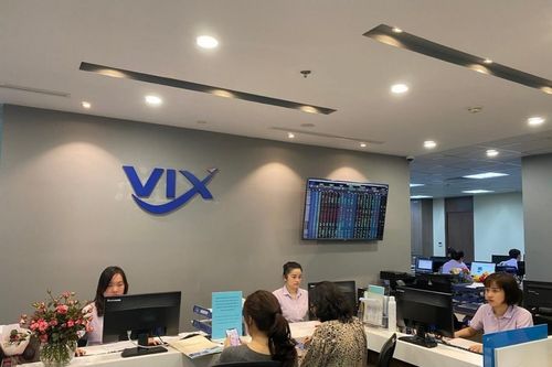 Cổ phiếu VIX bật tăng trần trước thềm ĐHĐCĐ bất thường