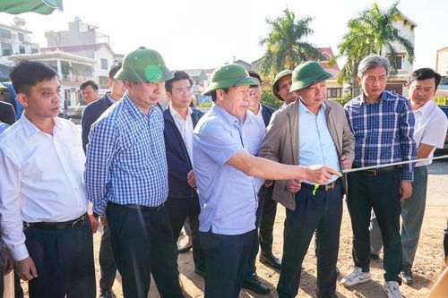 Hải Phòng phấn đấu khởi công một số tuyến đê trong năm 2026