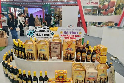 OCOP Hà Tĩnh: Giữ hồn quê, nâng tầm thương hiệu đặc sản