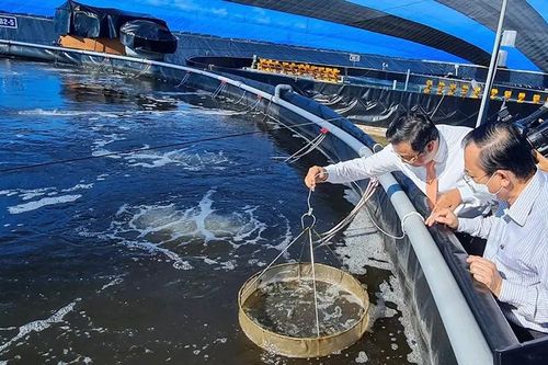 Bảo vệ môi trường trong các hoạt động thủy sản 2025