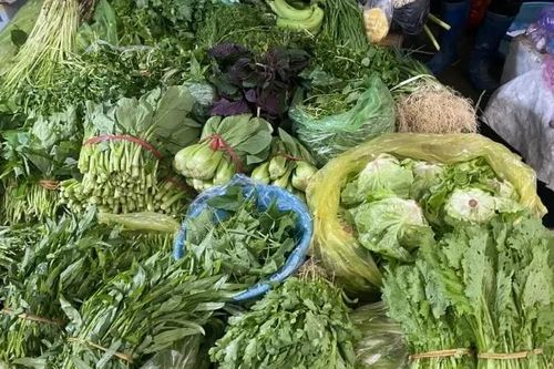 Tăng nguồn cung để bình ổn thị trường rau xanh