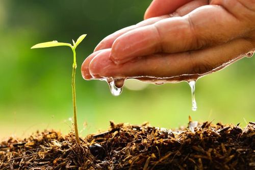 Người tử tế là người có tâm từ bi