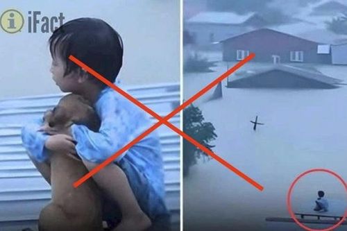 Đừng câu like trên nỗi đau ở vùng lũ