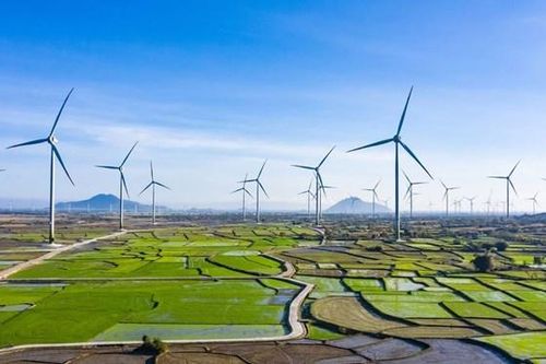 Gia Lai mời đầu tư dự án nhà máy điện gió hơn 48.300 tỷ đồng