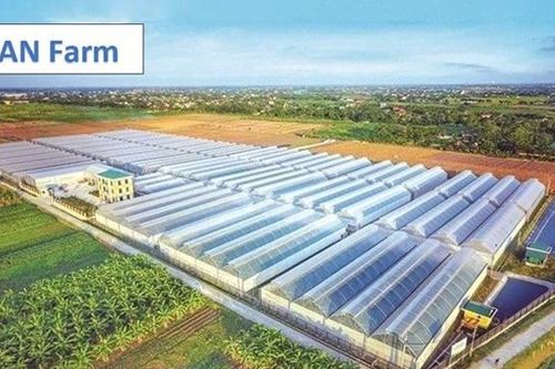 Nợ vay bán niên tăng mạnh, Pan Farm vừa tất toán hơn 200 tỷ đồng gốc, lãi trái phiếu