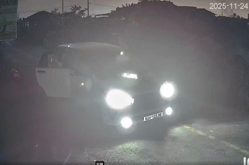 Clip ghi rõ hình ảnh đối tượng đi ô tô bắt trộm chó ở Tây Ninh