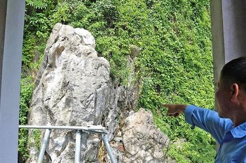 Hà Nội: Hỗ trợ kinh phí cho hộ gia đình, cá nhân tham gia bảo vệ rừng