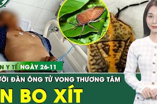 Bản tin Y tế 26/11: Bệnh nhân ngộ độc do ăn bọ xít tại Gia Lai đã tử vong