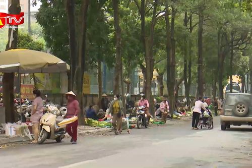 Hà Nội còn 223 chợ 'cóc', chợ tạm cần giải tỏa