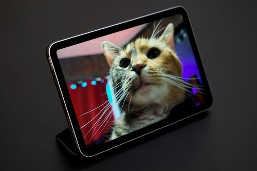 Nâng cấp lớn cho iPad mini