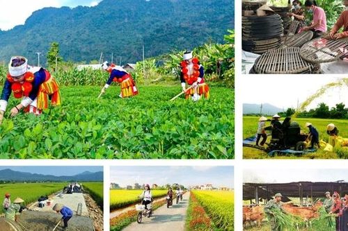 Kiện toàn thành viên Ban Chỉ đạo Trung ương các chương trình mục tiêu quốc gia 2021-2025