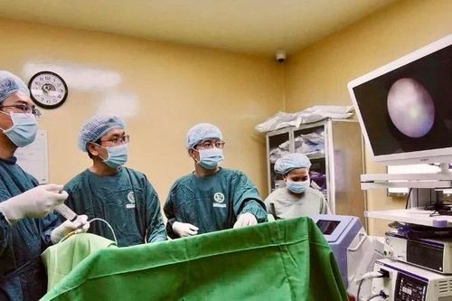 Nâng tầm điều trị sỏi tiết niệu bằng kỹ thuật cao